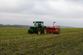 Прямий посів озимої пшениці в сидерати у ТОВ "Агропрогрес - Теребовля"