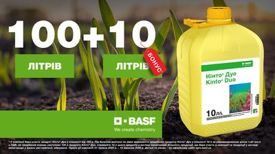 BASF_Kinto-Duo_1600x900px_with-logo.jpg