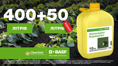 05 BASF_Nopasaran_1600x900px_with-logo.jpg