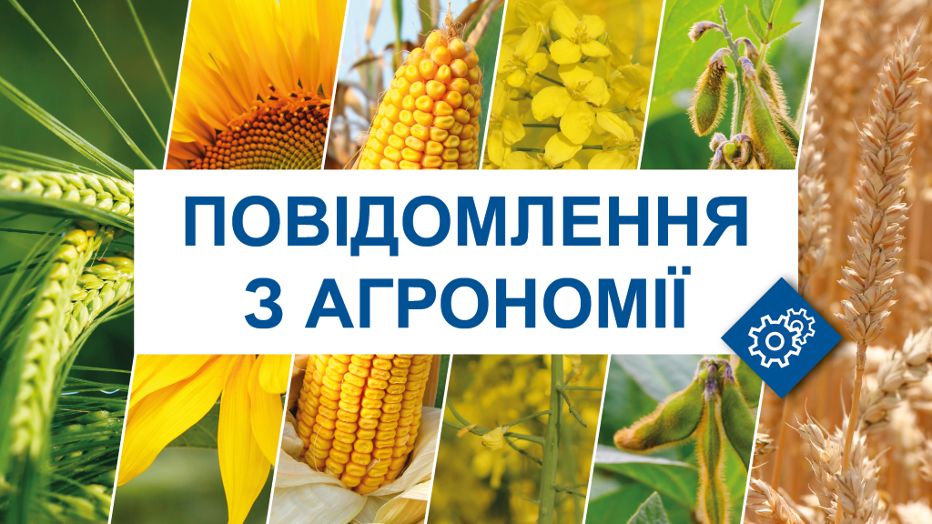 UA FB banner agroflash CORN small.png