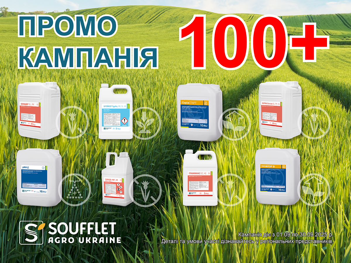 Осіння Промо кампанія 100+