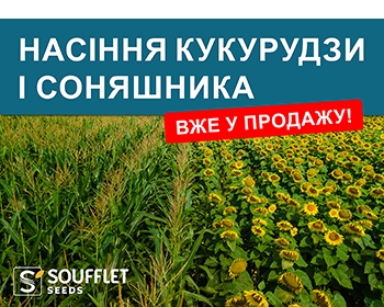 НАСІННЯ КУКУРУДЗИ І СОНЯШНИКА ВЖЕ У ПРОДАЖУ